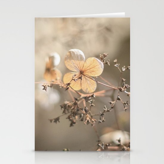 still beautiful °3 Stationery Cards