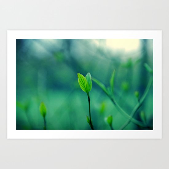 stillness Art Print
