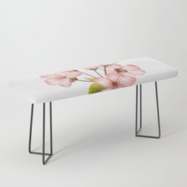 Pink Cherry Blossom on white background 1 Bench