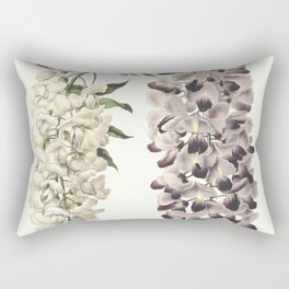 Wisteria Sinensis Botanical Art Isolated On White Rectangular Pillow