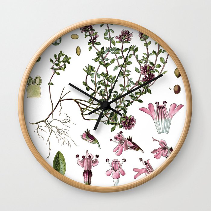 Nature, botanical print, flower poster art of Wild Thyme Wall Clock