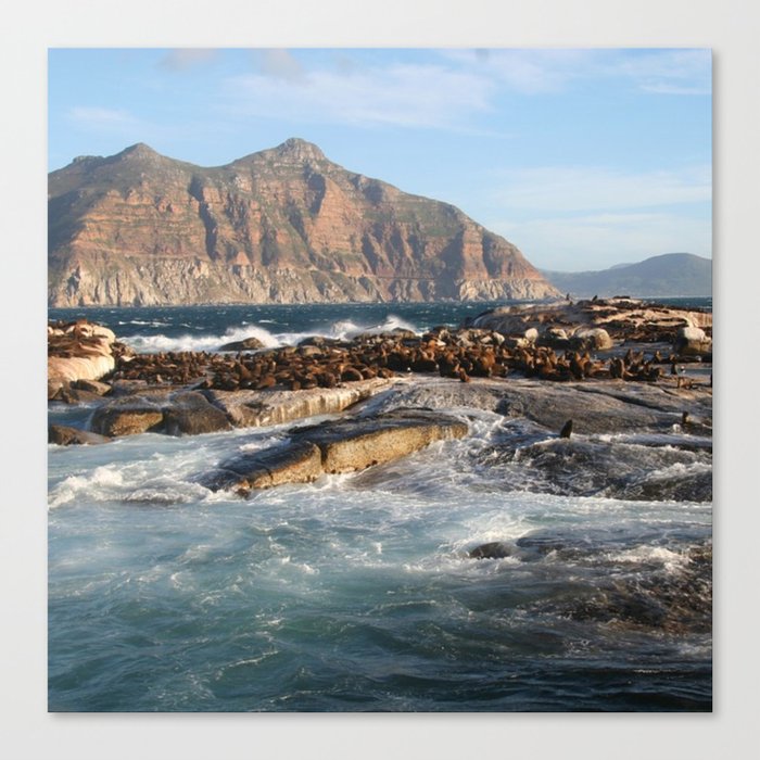 South Africa Photography - Ocean Waves Hitting The Rocks Canvas Print