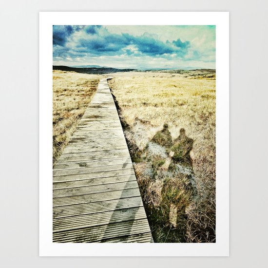 Connemara National Park, Ireland Art Print