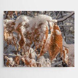 Snow on fall leaves Jigsaw Puzzle