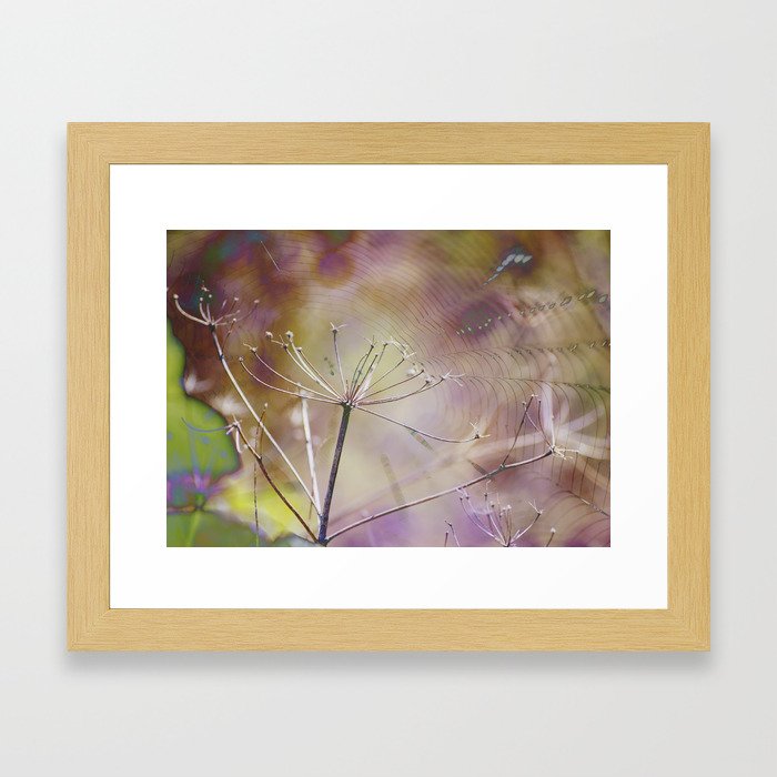 Spiderweb :: Come Hither Framed Art Print