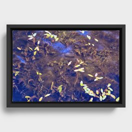 Leaves Floating in Water Framed Canvas