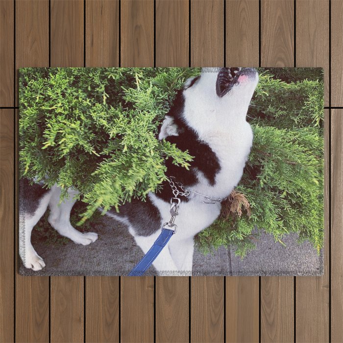 One of Those Things That Make Huskies Happy Outdoor Rug