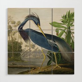 John James Audubon Louisiana Heron Painting Wood Wall Art