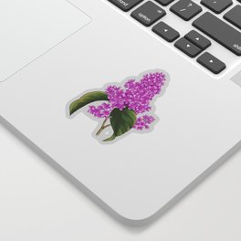Lilac flower with lilac Lyrics Sticker