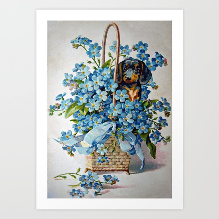 Dachshund and Forget-Me-Nots Art Print