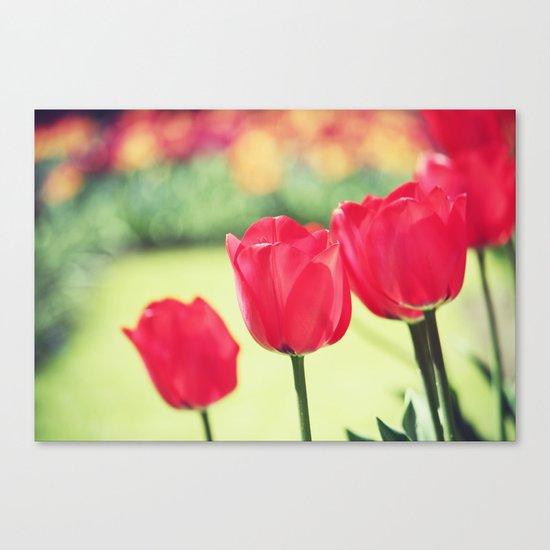 Tulips Canvas Print