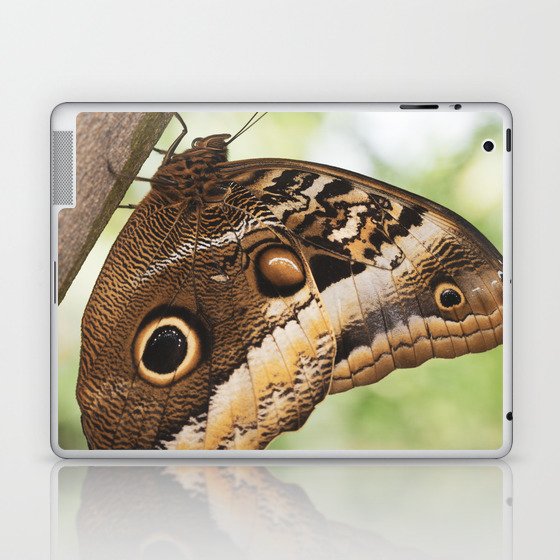 Owl butterfly summer art print - insect nature and travel photography Laptop & iPad Skin