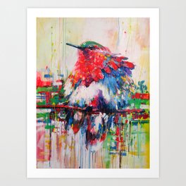 colorful bird- nature  Art Print