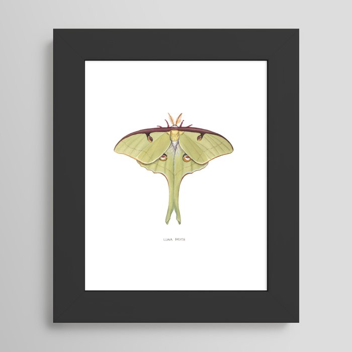 Framed Art Print