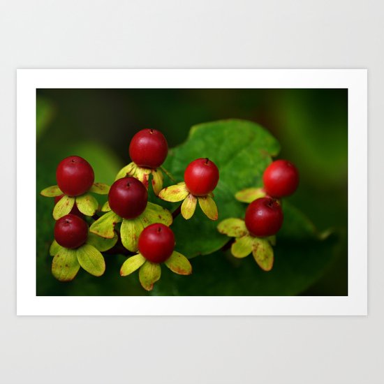 Berry Good! Art Print