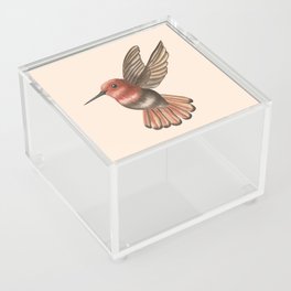 vintage bird watercolor art  Acrylic Box