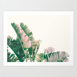Tropical Banana Leaves, Nature Photography, Botanical Art Print