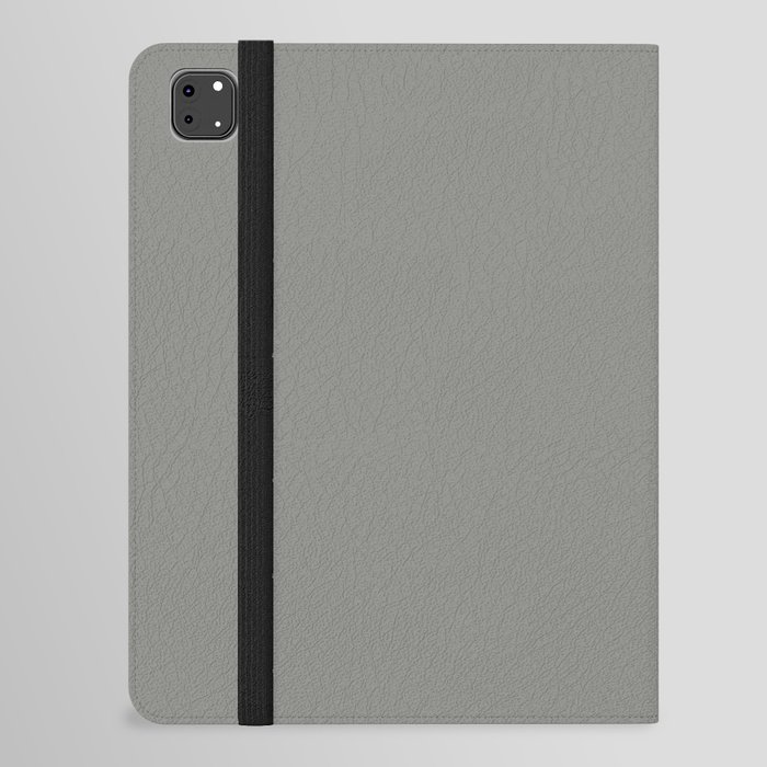 Midtone Iron Gray - Gray Solid Color Pairs PPG Downpour PPG1010-5 - All Color - Single Shade iPad Folio Case