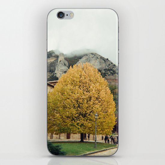 autumn tree iPhone & iPod Skin