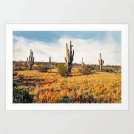 Arizona Spring Poppies And Saguaro Cactus Art Print