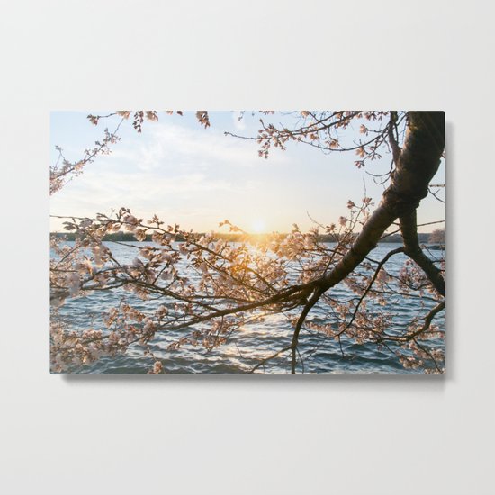 Sun Over the Horizon Metal Print