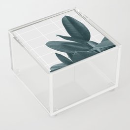 Daylight Acrylic Box