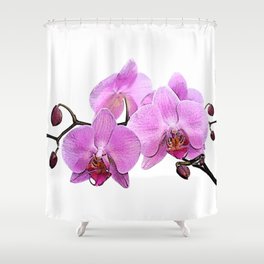 orchid flower minimalist minimal Shower Curtain