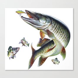 Musky Fishing Canvas Print