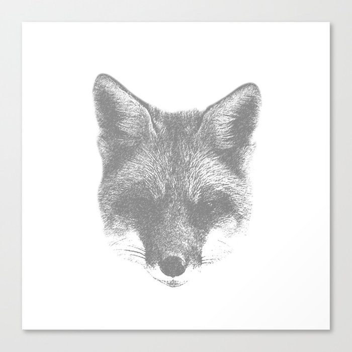 Fox Wisdom Canvas Print