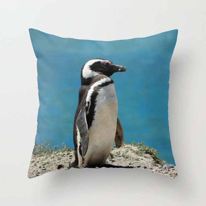 Argentina Photography - Beautiful Magellanic Penguin At The Ocean Shore Throw Pillow
