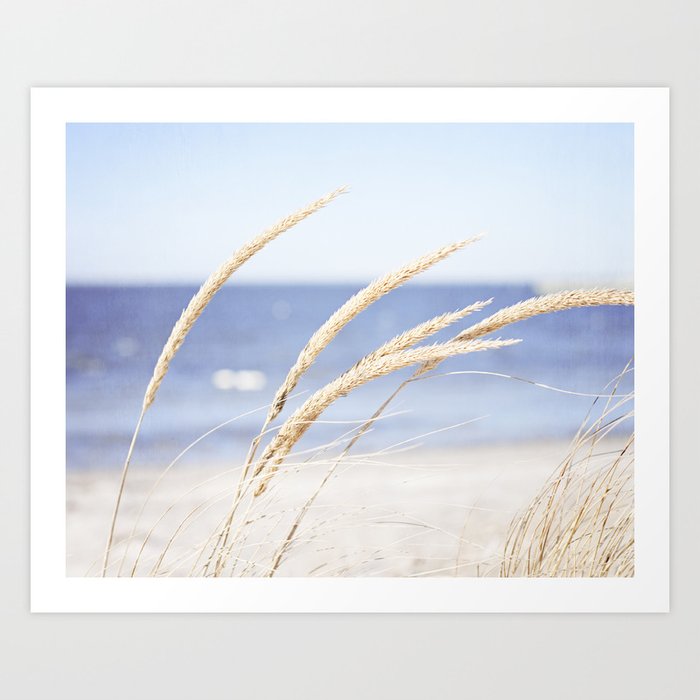 Beach Grass Blue Photography, Coastal Ocean Landscape, Sea Seashore Seascape Shore Art Print