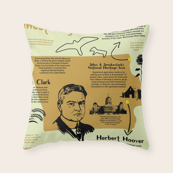 Throw Pillow