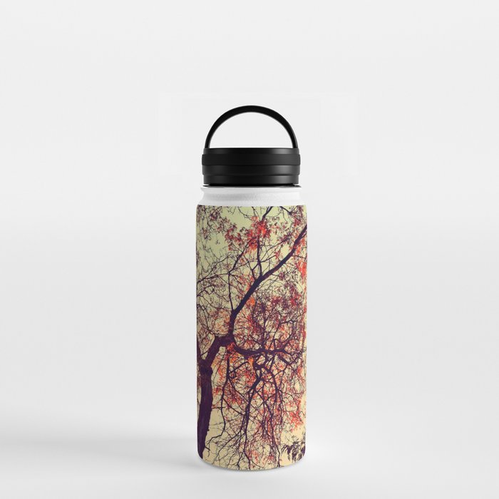 Fall Fire Water Bottle