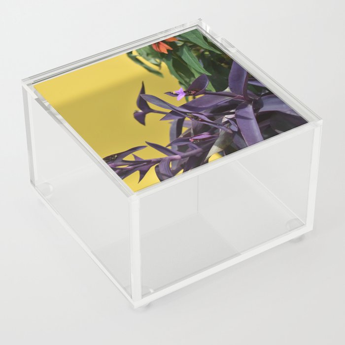 spring is here Acrylic Box