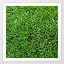 Grass, green plant, nature realistic grass Art Print