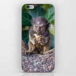 Brazil Photography - Monkey Eating On A Branch iPhone Skin