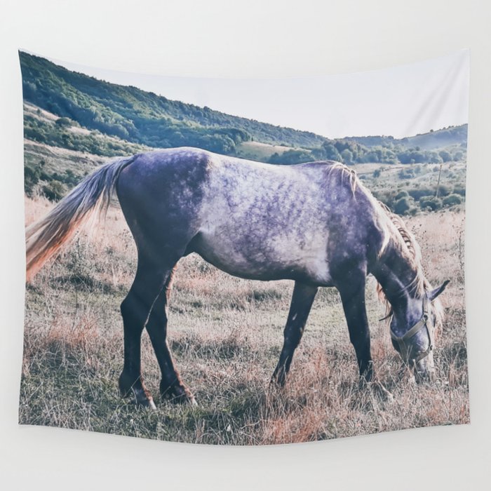 Vintage arabian purebred grey young horse pasture in the countryside  Wall Tapestry