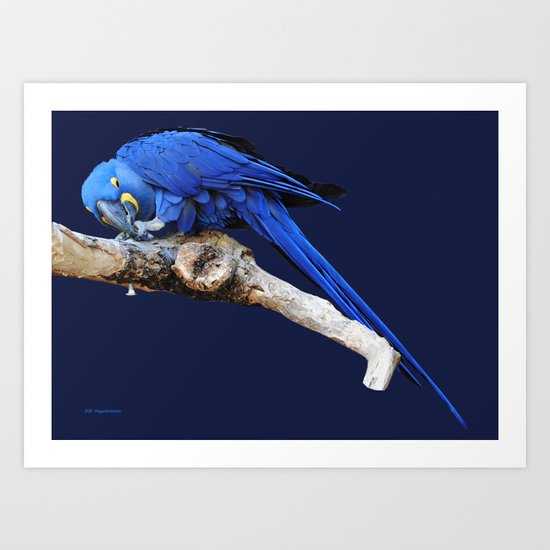 Persistant Art Print