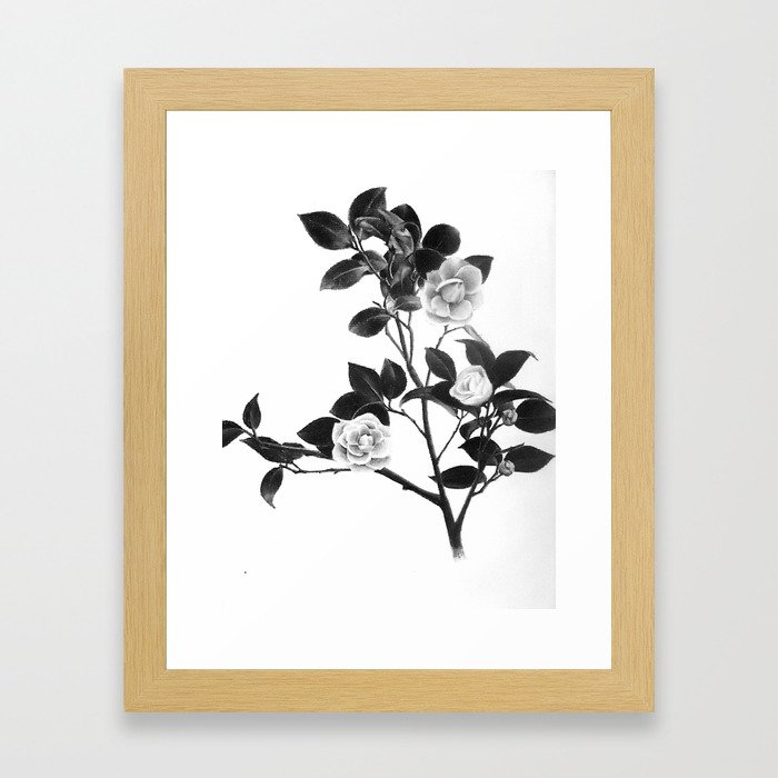Bloom Framed Art Print