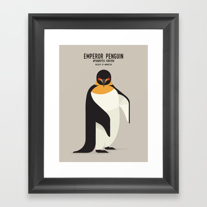 Emperor Penguin, Wildlife of Antarctica Framed Art Print