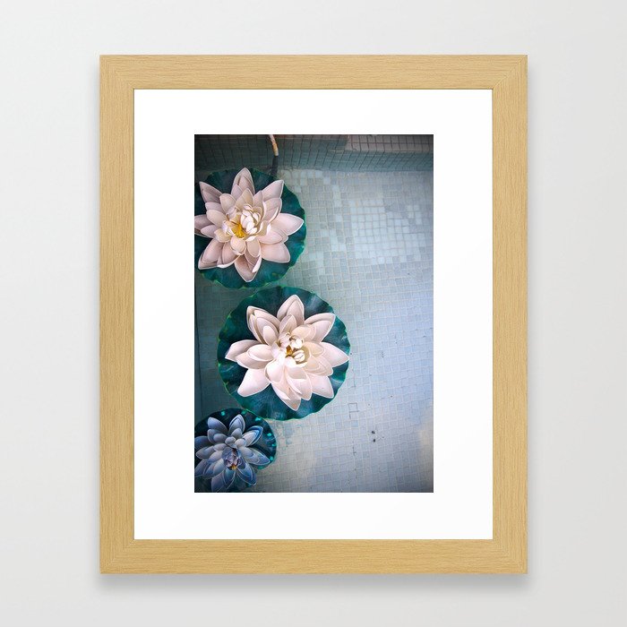 Other Flowers on the Pond Framed Art Print