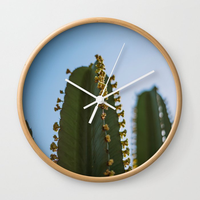 Cactus Photography #4 Wall Clock