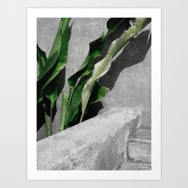 By The Leaves Art Print