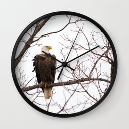 Bald Eagle Wall Clock