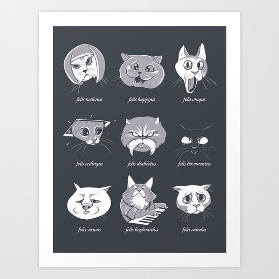 LOLcat Taxonomy Art Print