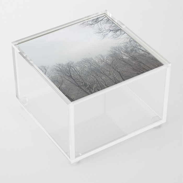 Winter Wood Acrylic Box