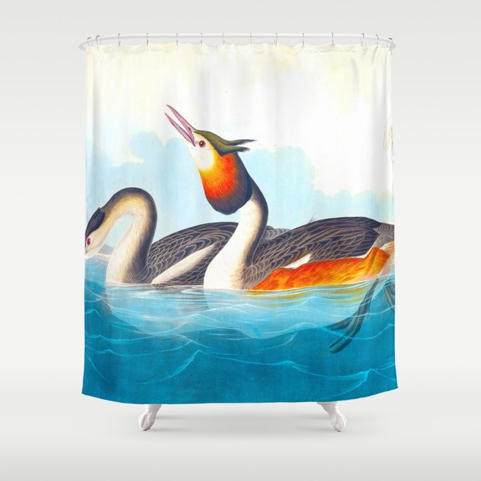 Great Crested Grebe Bird Shower Curtain