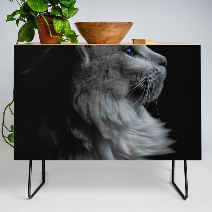 cat Credenza