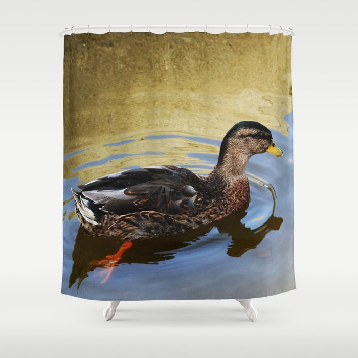 Duck swimming in a golden lake Shower Curtain