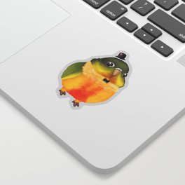 Fanciful Conure with Hat Sticker